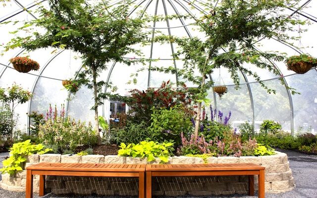 Wooden bench faces a round garden bed inside an enclosed greenhouse.