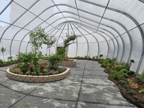 Inside greenhouse with circular beds, edge plants, and center path.