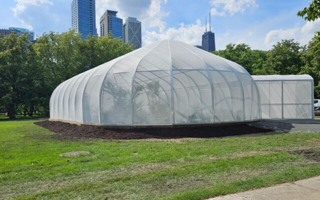 White-domed greenhouse on grass, city buildings and trees behind.