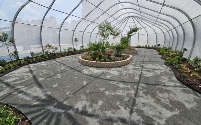 Greenhouse with path, raised center bed, and plants beneath glass.